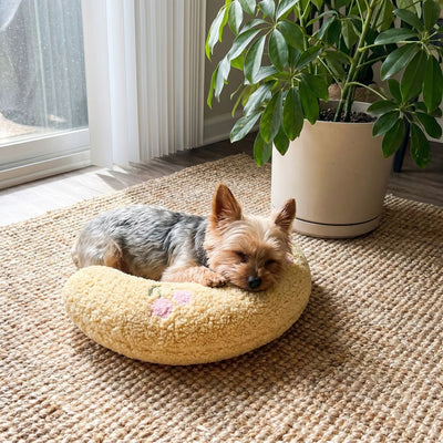 Yorkshire terrier asleep on a yellow PawCalm pillow on a rug