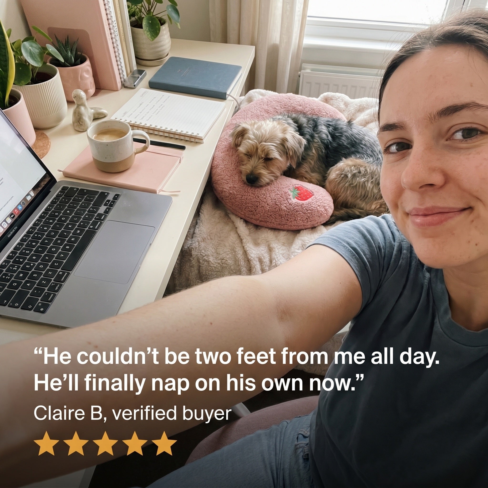 Claire working from home with her small dog asleep on a pink PawCalm pillow, five-star review: he naps next to my desk on his own now