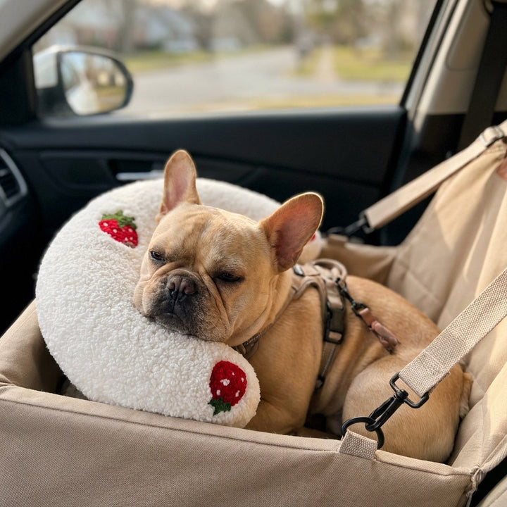 French bulldog with PawCalm pillow in a car seat booster