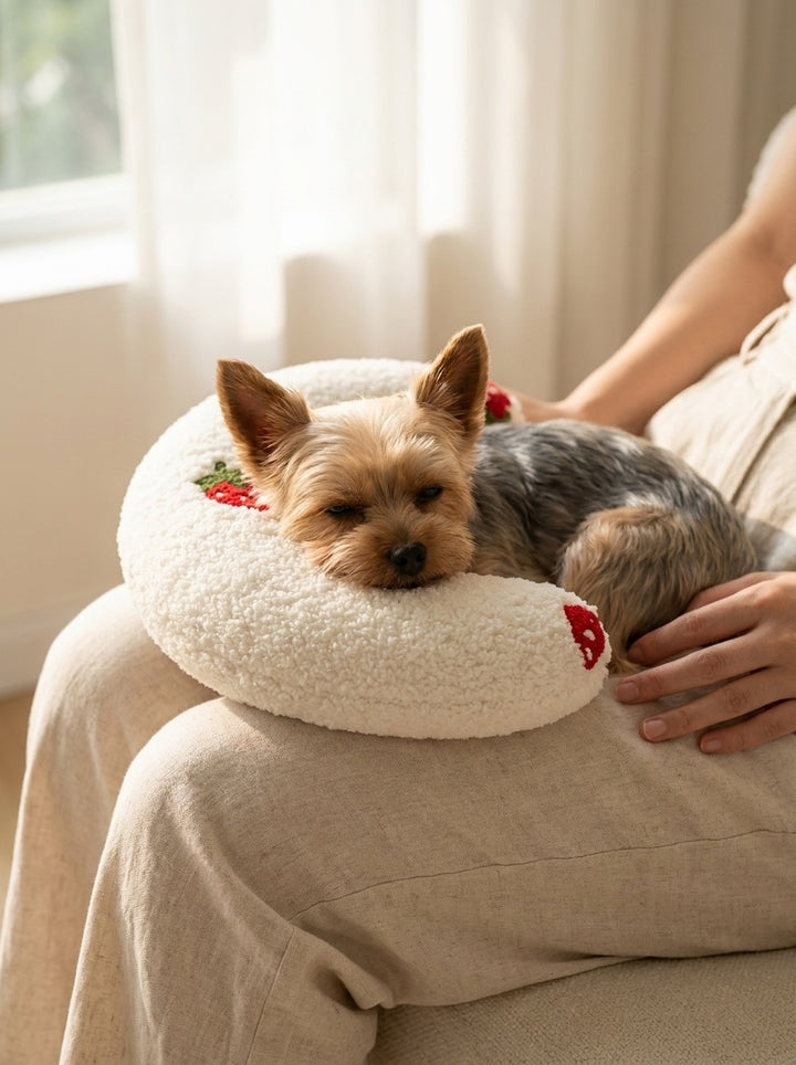 Small yorkie curled into a PawCalm pillow on a lap