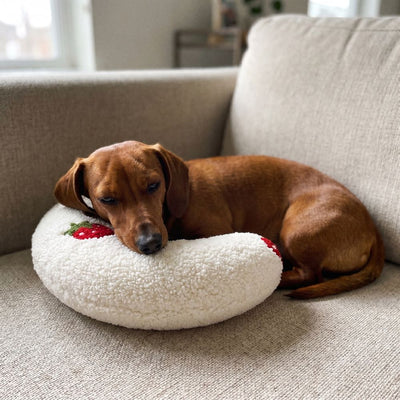 Dachshund resting its chin on a white PawCalm pillow on a sofa