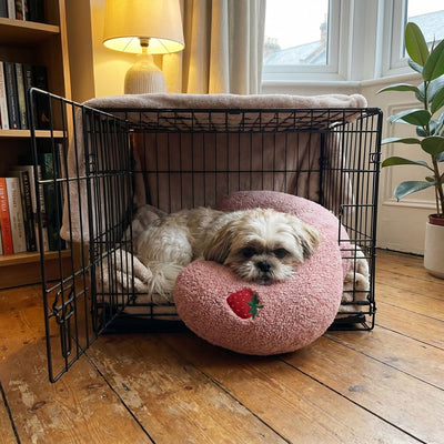 Shih-tzu resting on a pink PawCalm pillow inside an open crate