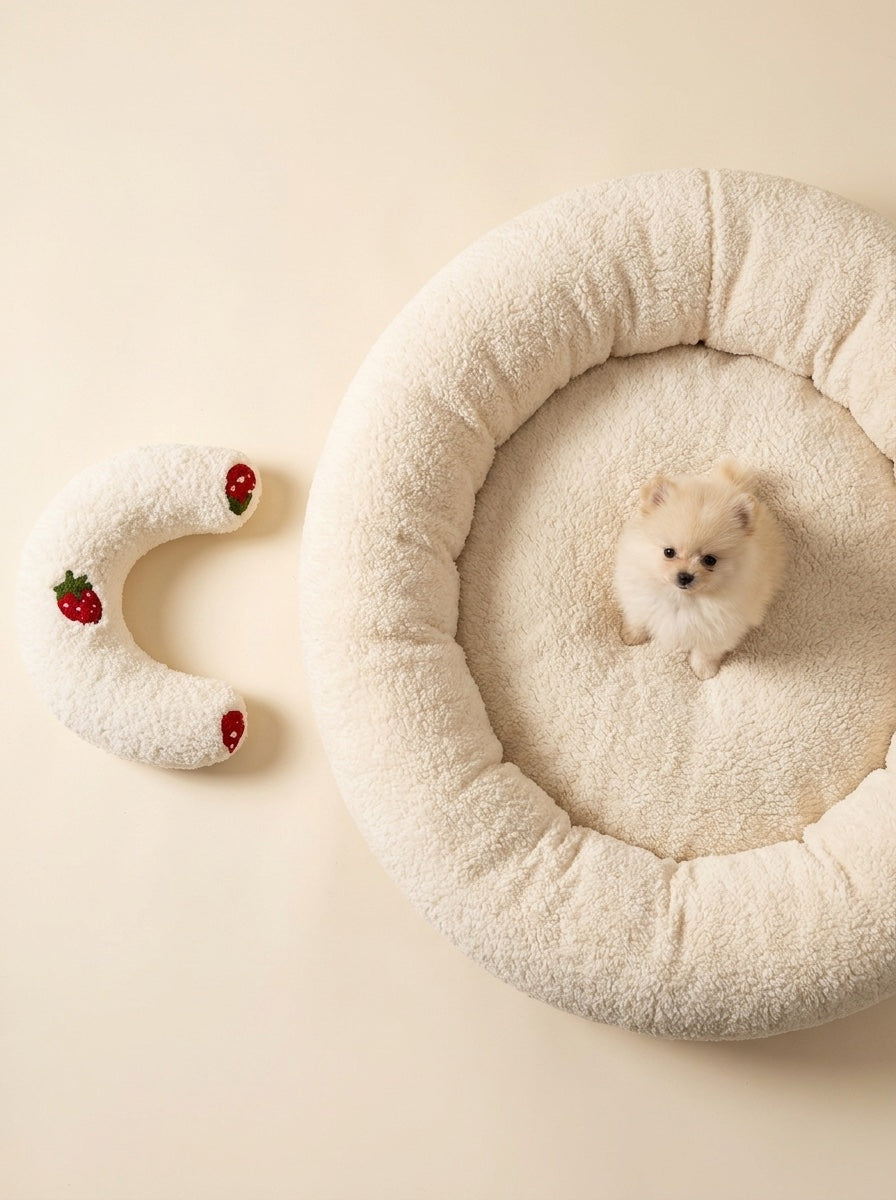 PawCalm pillow next to an oversized donut bed, donut dwarfs a small dog