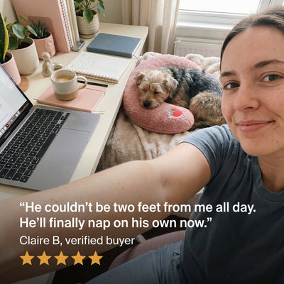 Claire working from home with her small dog asleep on a pink PawCalm pillow, five-star review: he naps next to my desk on his own now