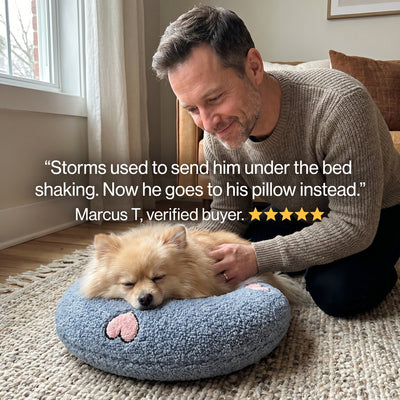 Marcus with his pomeranian resting on a blue-grey PawCalm pillow, five-star review: on loud nights he heads straight for his pillow now